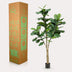 Artificial Plant Ficus Lyrata (Fiddle-Leaf Fig) 180 cm Bild 6