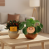 2er Set: Peperomia Rosso & Ufopflanze im 10.5cm Topf Bild 2