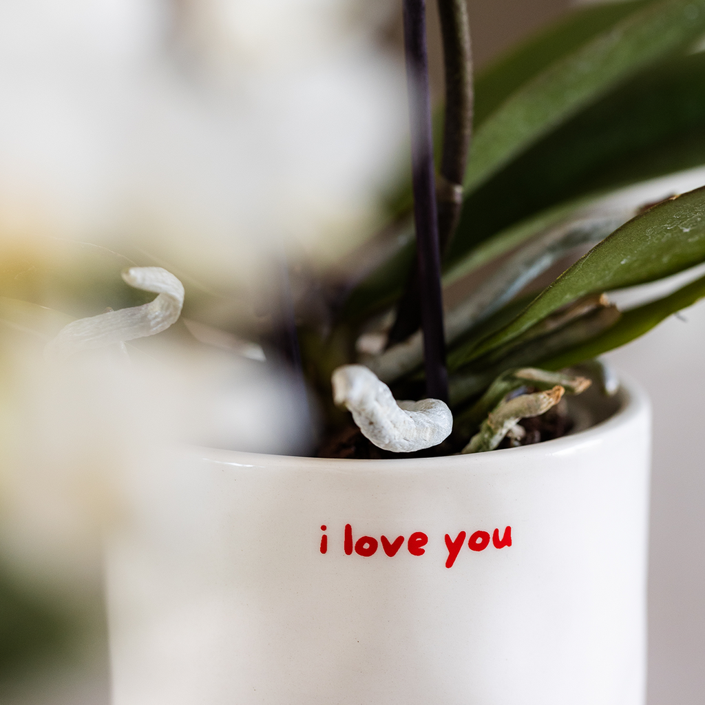 Kolibri Orchids | Geschenkset „Love You“ | Rote Phalaenopsis‑Orchidee Congo mit Grünpflanze in Love‑Übertopfen auf einer Cloud‑Platte