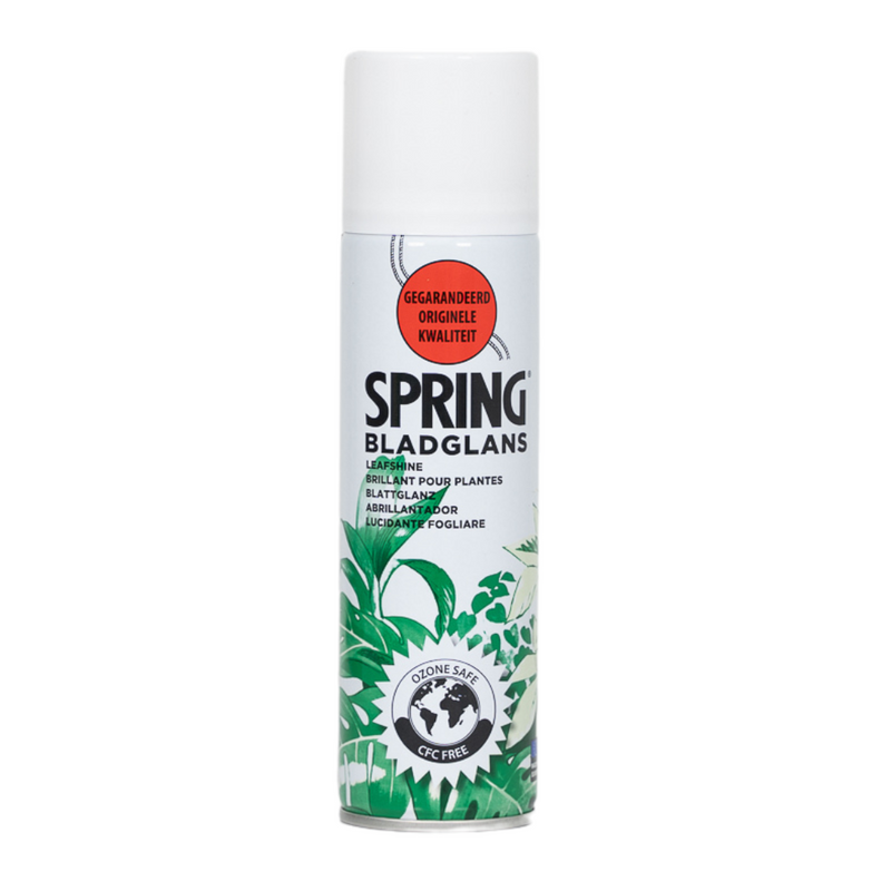 Blattglanz Spray 750ml: Strahlende Zimmerpflanzen & gesundes Laub