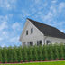 Große Kirschlorbeer Pflanzen Rotundifolia 125-150 cm für 10m Hecke Bild 6