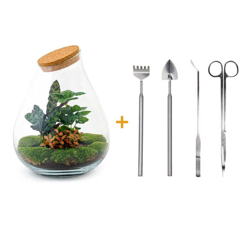 Bottle Garden - Drop XL Red - ↕ 37 cm - Rake + Shovel + Tweezers + Scissors
