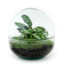 Bottle Garden - Dome - ↕ 20 cm - Rake + Shovel + Tweezers Bild 2