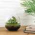 Bottle Garden - Dome - ↕ 20 cm - Rake + Shovel + Tweezers Bild 3