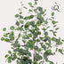 Artificial Eucalyptus Tree (Blue Gum) - 120 cm Bild 3