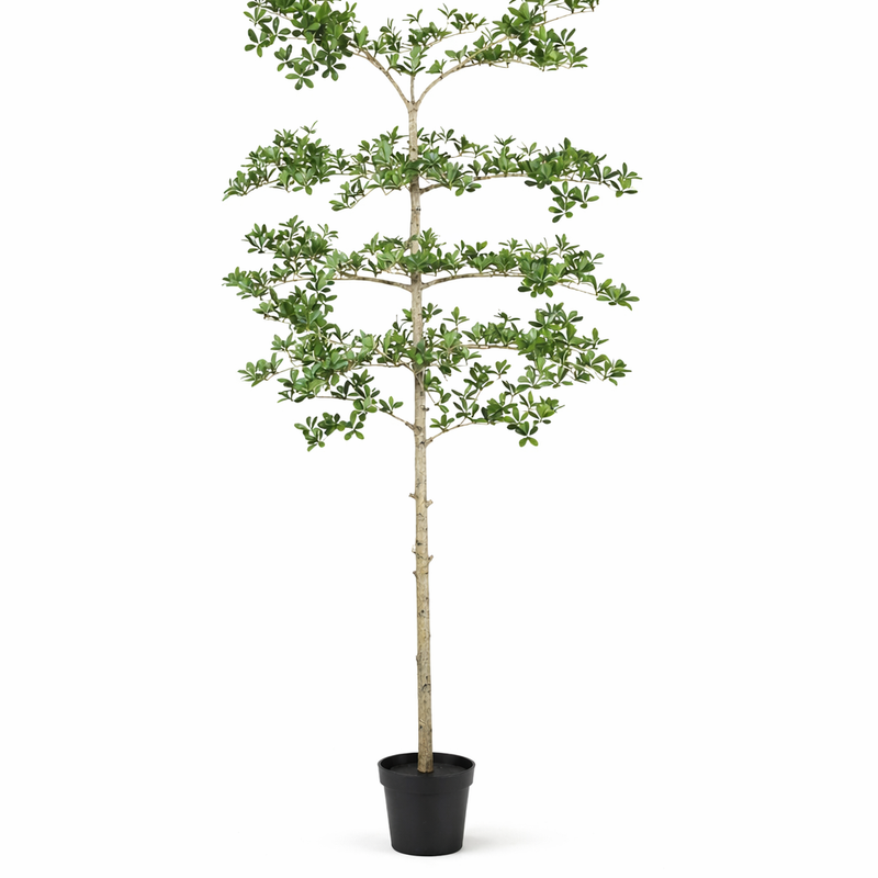 Kunstpflanze Bucida, 200cm - Elegante Deko ohne Pflege