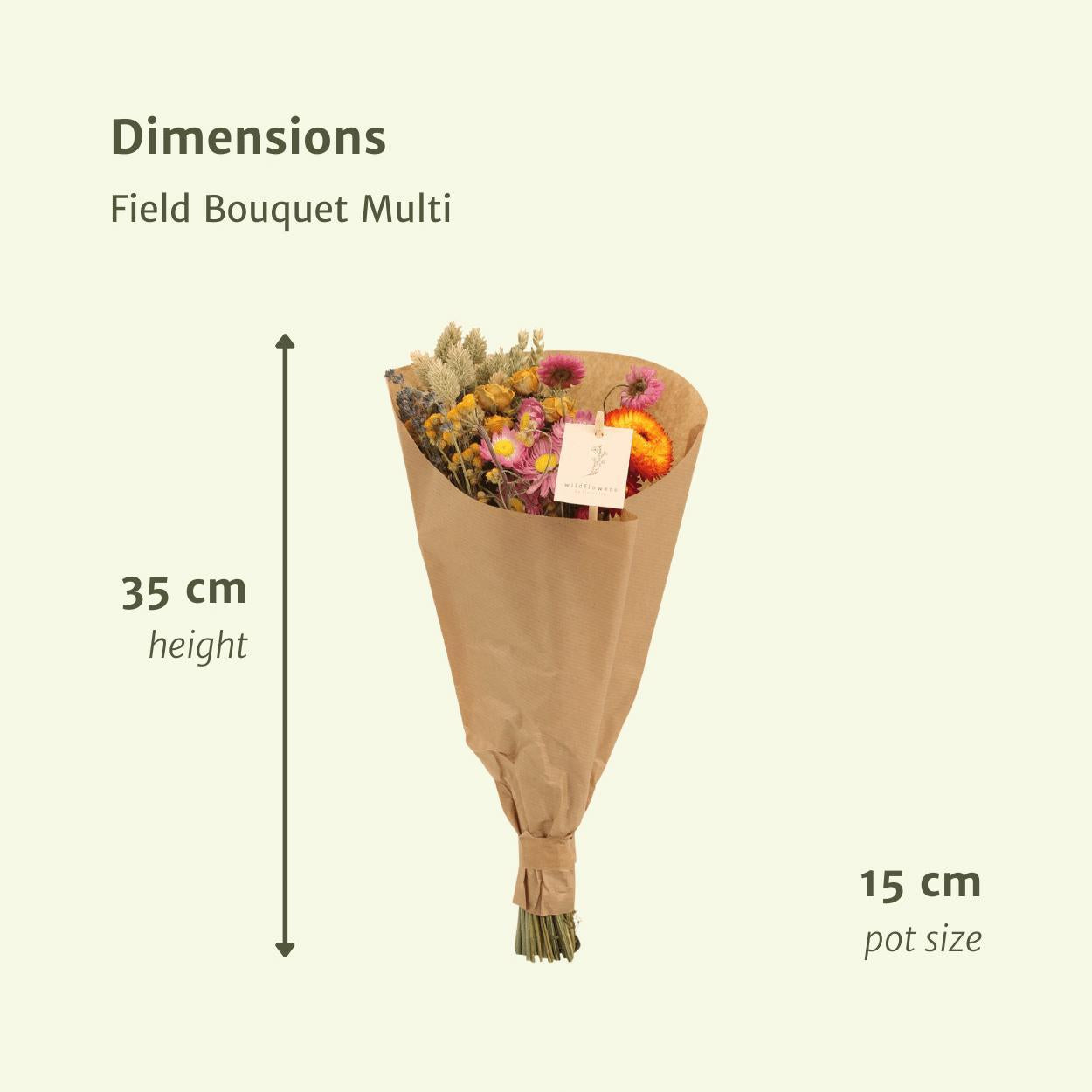 12x Field Bouquet Multi Trockenstrauß 35cm Ø15 Bunt