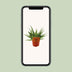 Aloe 'Spider' im 10,5cm Topf, ca. 15cm hoch – Sonnige Deko für Ihr Zuhause Bild 4