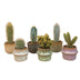 Kaktus-Set: 6 Mini-Kakteen mit Keramiktöpfen Barcelona Bild 1