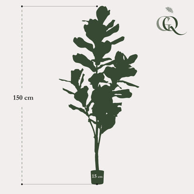 Künstliche Ficus Lyrata 'Tabakpflanze' - 150cm - Pflegeleicht