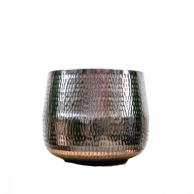 Pot Jenna Lead: Elegant dark leaves, easy to care for, 29x24