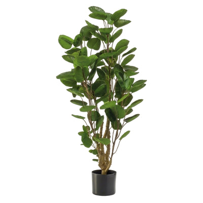 Kunstpflanze Polysciasbaum, 105 cm