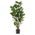 Artificial plant Polyscias tree, 105 cm Bild 1