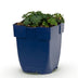 Green boutiQ - Stauden - Geranium sang. Max Frei - Storchschnabel - Bodendecker - Rosa - 1 Pflanze - Topf 11cm - Höhe 15-25cm Bild 1