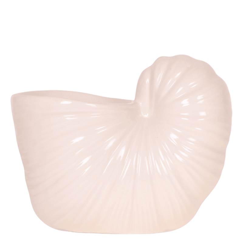 Kolibri Home Shellfish Übertopf – Sommerliches Flair für Dein Zuhause