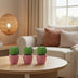 Sweetheart Plant Set: 3x Hoya Kerrii in Pink Bild 3