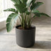 Elho B.for soft Blumentopf Anthrazit 25 cm Bild 6