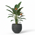 Pot Orb Black Washed - D39 x H35 Bild 3