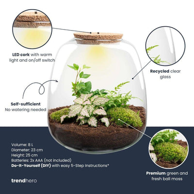 Pflanzenterrarium – Emma – Bastelset – Höhe 25 cm – Durchmesser 23 cm – Hedera White