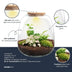 Pflanzenterrarium – Emma – Bastelset – Höhe 25 cm – Durchmesser 23 cm – Hedera White Bild 2