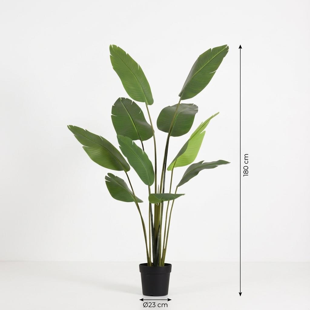 Kunst Strelitzia Nicolai - 180cm