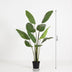 Artificial Strelitzia Nicolai - 180cm: Tropical Flair Without Maintenance Bild 2