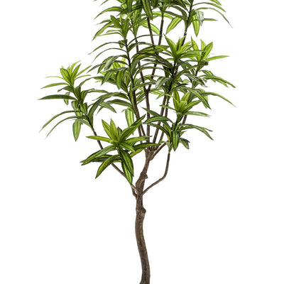 Kunstpflanze Drachenbaum (Dracaena) 130 cm - Immergrün & Sicher