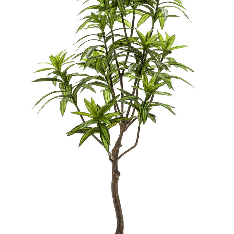 Kunstpflanze Drachenbaum (Dracaena) 130 cm - Immergrün & Sicher
