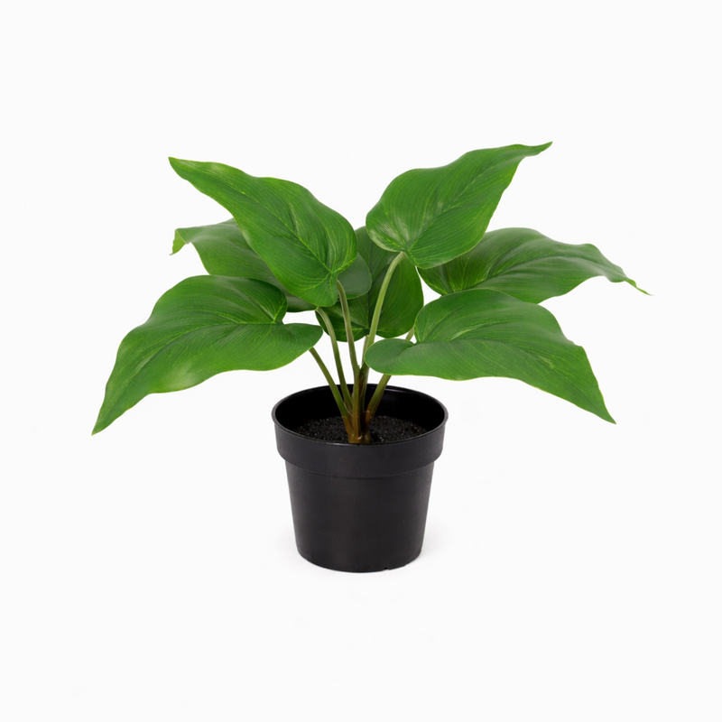 Künstlicher Philodendron Imperial Green, 25 cm – Tropisches Grün ohne Aufwand