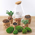Bottle Garden Drop XL DIY Terrarium with Plants & Tools Bild 3