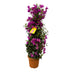 Prachtvolle Pyramiden-Bougainvillea, 80cm, Ø17cm Bild 2