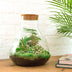 Bottle Garden Sam XL: DIY Plant Terrarium 35cm, incl. Tools & Instructions Bild 3