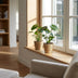 Green boutiQ - Monstera Deliciosa - Fensterblatt - 4 Pflanzen - mit Korb - Topf 12cm - Höhe 30cm Bild 3
