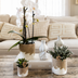 Kolibri Home Flower Pot Sand Ø6cm – Elegant Bloom Structure Bild 5