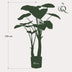 Kunstpflanze – Alocasia – Elefantenohr – 110 cm Bild 2