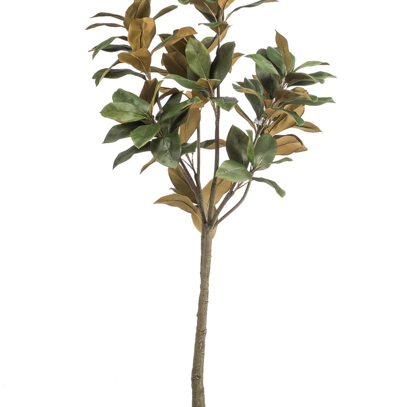 Artificial Magnolia Grandiflora Tree, 150 cm – Easy Care & Stylish