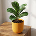 Elho Jazz Topf Rund Bernstein Gelb D23cm H21cm Bild 4