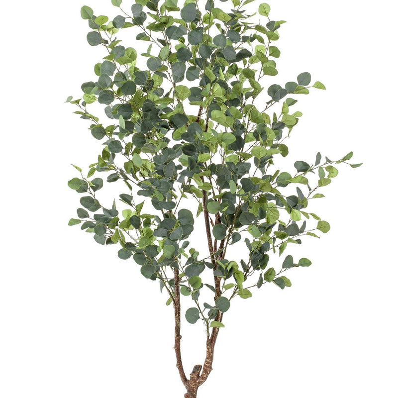 Artificial Eucalyptus Tree (Blue Gum), 180 cm