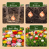 60x Tulipa Double Mix - Gefüllte Tulpenzwiebeln für den Frühling Bild 4