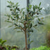 Artificial Olive Tree in Pot, 65 cm – Mediterranean Charm Bild 6