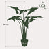 Artificial Plant Alocasia Frydek, 120 cm – Evergreen Elegance Bild 2