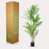 Kunstpalme Chamaedorea Elegans (Bergpalme) - 180 cm Bild 6