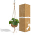 Kokodama Pilea Peperomioides - Chinesischer Geldbaum Ø15cm Bild 5