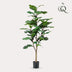 Kunstpflanze Ficus Lyrata (Tabakspflanze), 120 cm Bild 3