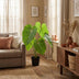 Kunst Philodendron 100cm - Naturgetreue Kunstpflanze für Ihr Zuhause Bild 5