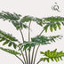 Künstliche Philodendron Pflanze, 60 cm – Natürliche Deko für Ihr Zuhause Bild 4