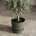 Elho Greenville Rundblatt Topf Grün D25 cm - Modern & Nachhaltig Bild 6