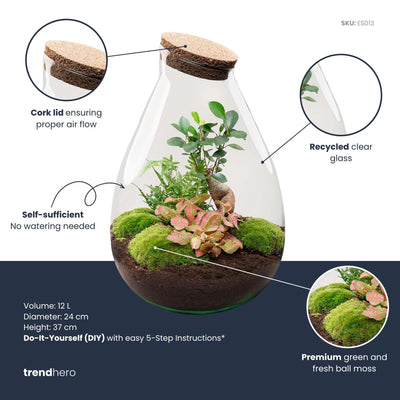 Flaschengarten Drop XL: Autarkes Biotop mit Pflanzen