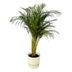 Areca-Palme (130 cm) mit elho Greenville Topf Bild 1