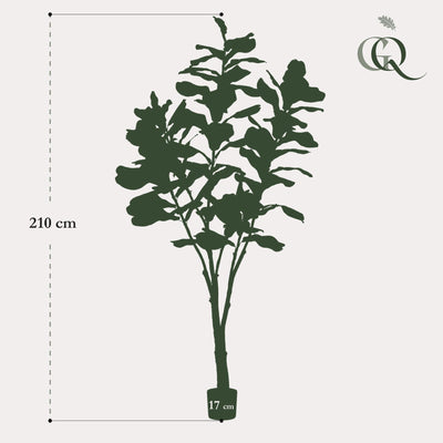 Kunstpflanze Ficus Lyrata Tabaksplant, 210cm: Echt und pflegeleicht